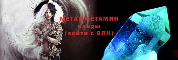 прущие грибы Пересвет