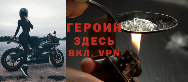 прущие грибы Пересвет