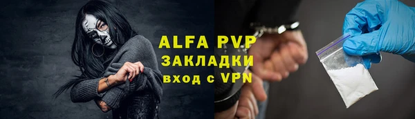 прущие грибы Пересвет