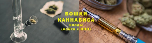 прущие грибы Пересвет