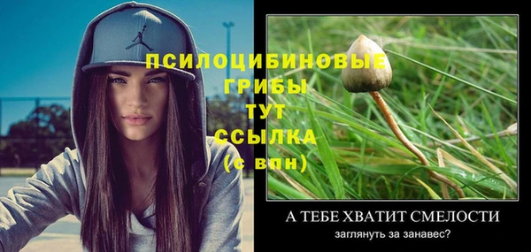 шишки Осинники