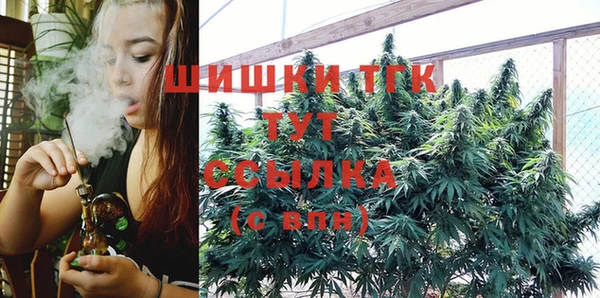 тгк Переславль-Залесский