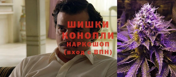 прущие грибы Пересвет