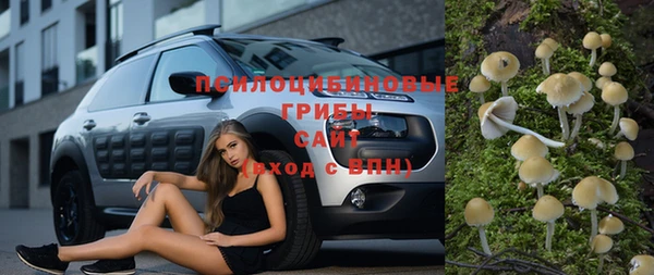 тгк Переславль-Залесский