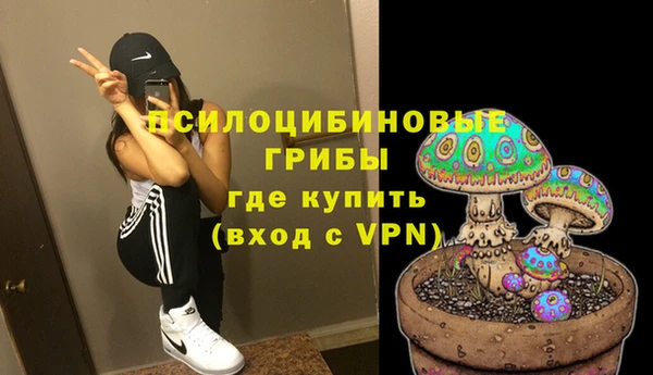 тгк Переславль-Залесский