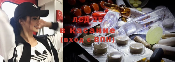 прущие грибы Пересвет