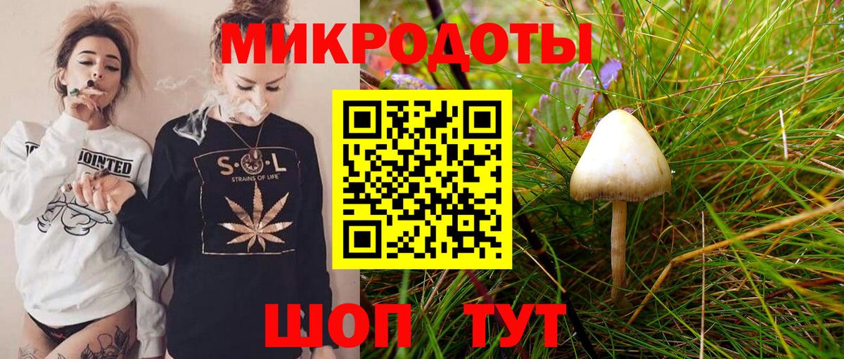 ГЕРОИН Большой Камень