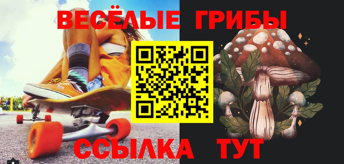 Галлюциногенные грибы мицелий Большой Камень
