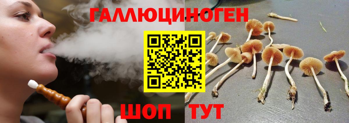 Галлюциногенные грибы GOLDEN TEACHER  Большой Камень 